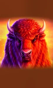 Buffalo 50